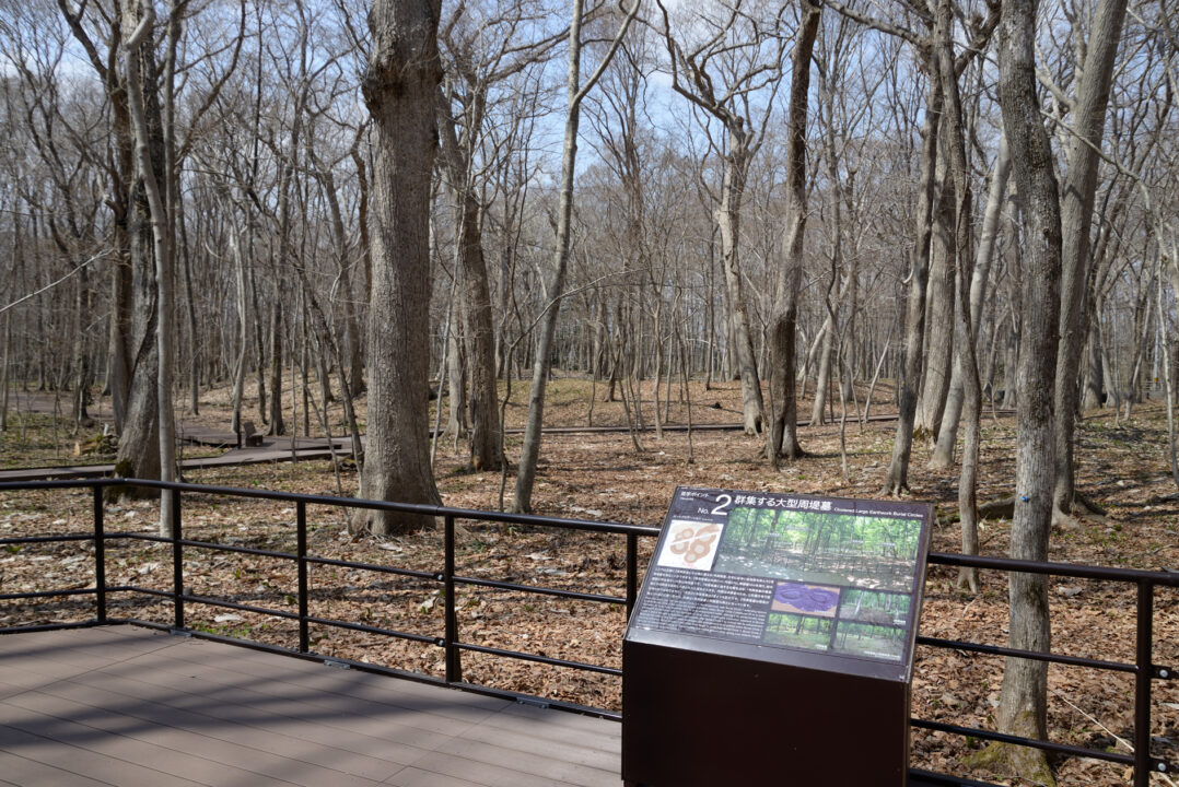 新たに設置された解説板と、史跡の風景