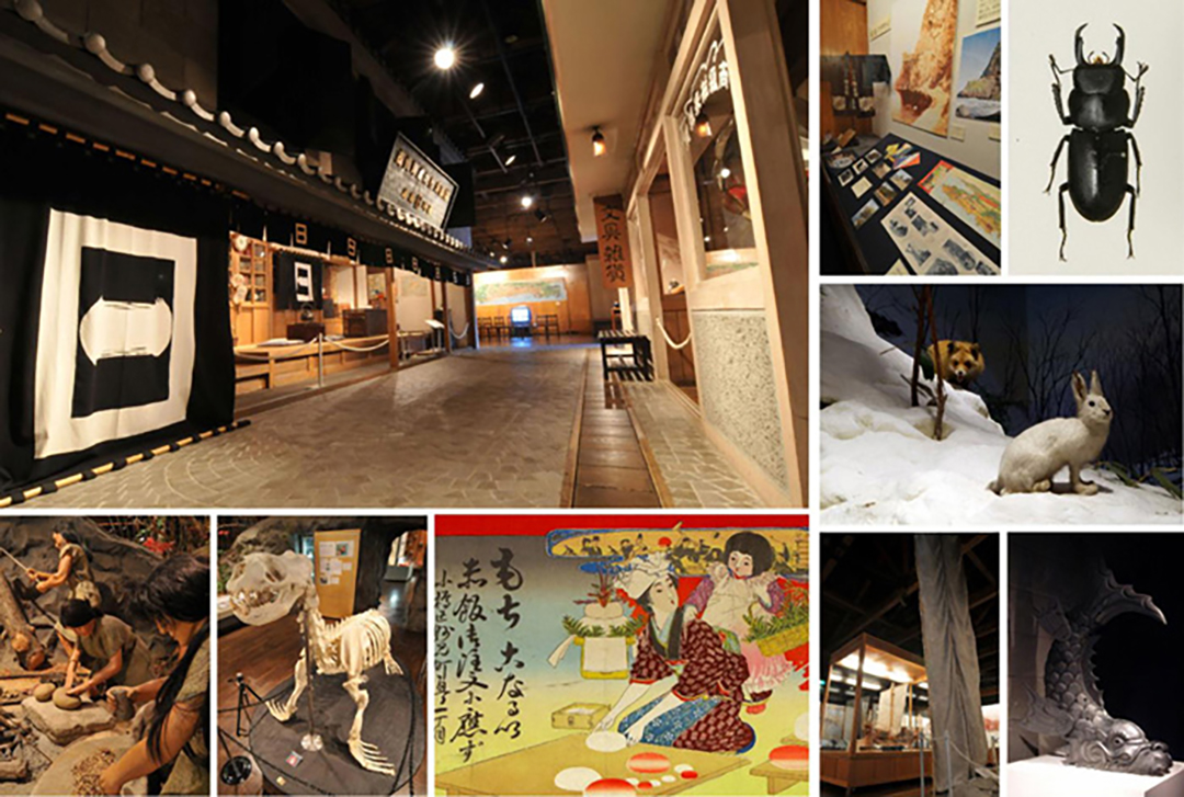 写真提供：小樽市総合博物館　運河館