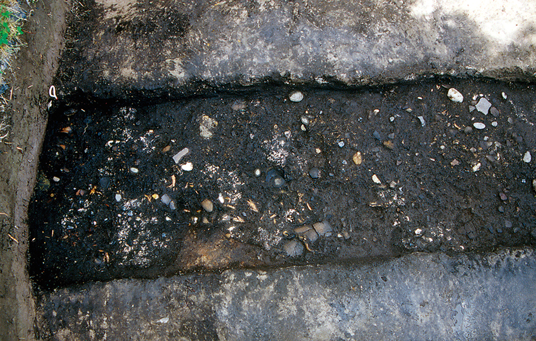 貝塚断面：ステージⅢaからⅢbまで3つの貝塚が発見されている。また、貝塚からはステージⅢbの土坑墓28基が見つかっている